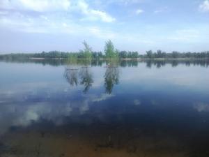 IMG_20180517_084609.jpg