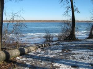 IMG_6039.JPG