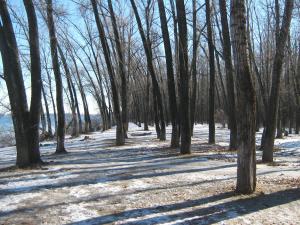 IMG_6040.JPG