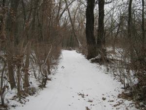 IMG_6096.JPG