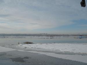IMG_6115.JPG