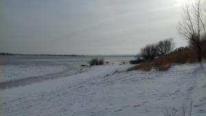 20190131_145558.jpg