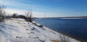20190214_124718.jpg