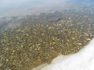 IMG_6110.JPG