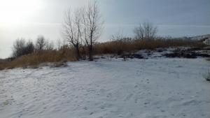 20190131_145624.jpg