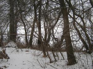 IMG_6097.JPG