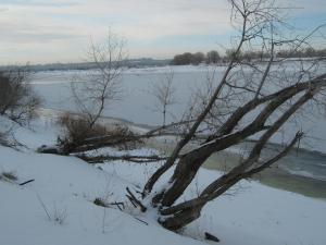 IMG_6123.JPG