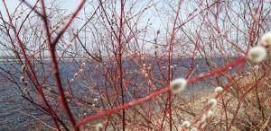 20190309_140122.jpg