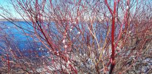 20190214_124659.jpg