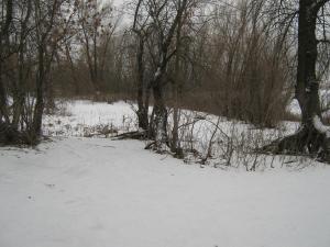IMG_6099.JPG