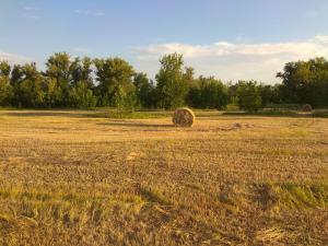 IMG_20190704_194958.jpg