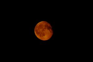 DSC_5857.jpg