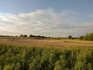 IMG_20190704_195430.jpg