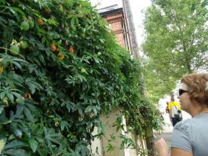 20150811-113832.JPG