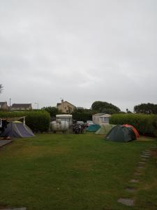 IMG_20190809_075705.jpg
