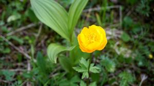 20170819-162920.JPG
