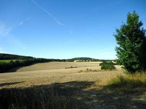 20150810-113434.JPG