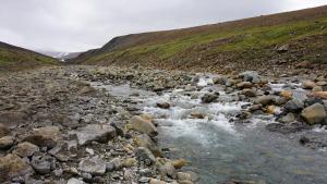 20170811-124401.JPG