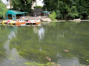 20150811-142355.JPG
