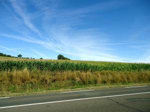 20150810-111615.JPG