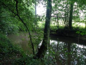 20150809-103959.JPG