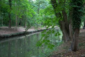 20150813-110123.jpg