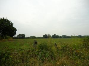 20150809-110511.JPG