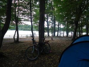 20150813-190228.JPG