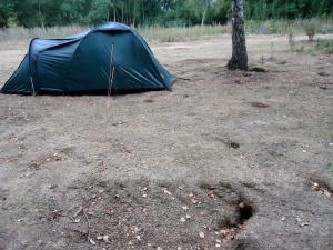 20150814-210821.JPG