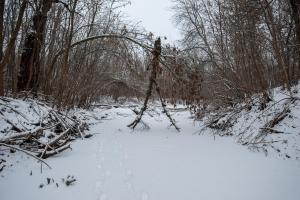 20180120-122323.jpg