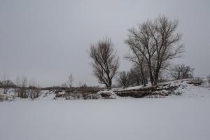 20180120-092018.jpg