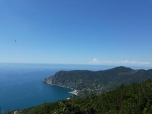 20180518_135551.jpg