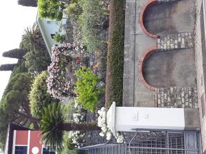 20180516_114304.jpg