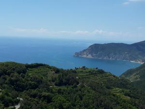 20180518_145721.jpg