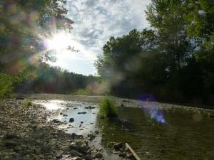 P1010431.JPG