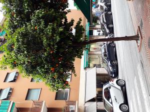 20180516_130541.jpg