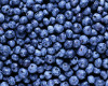 BlackBerry